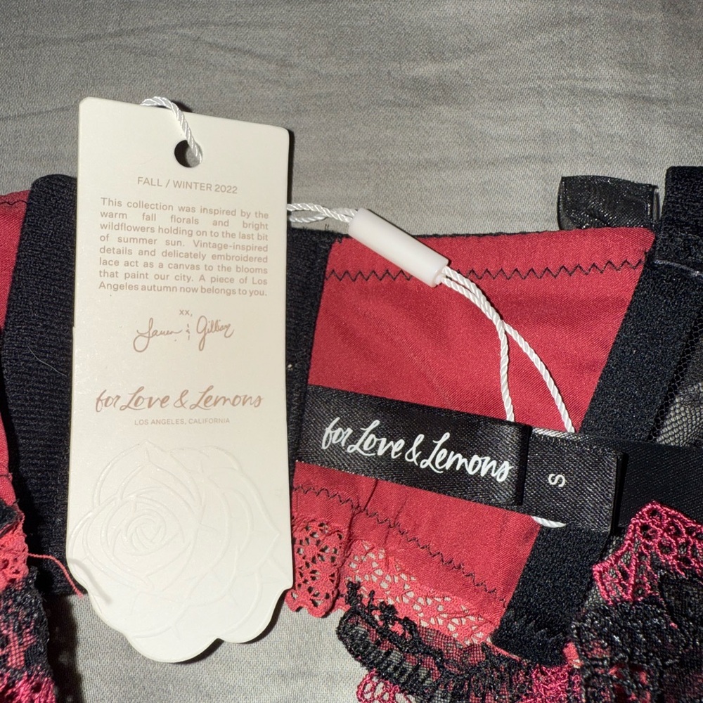 Elegant Lace Trim Pink and Black Bustier - For Love & Lemons Ivy Bra - SMALL - Picture 3 of 3